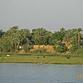 IMGP0832