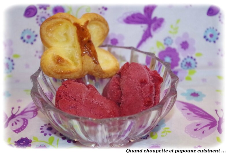 sorbet aux fruits rouges-740