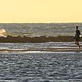 IMG_6606 - Copie