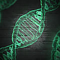 «le pentagone darpa veut insérer un 47e chromosome artificiel et armes biologiques ethniques