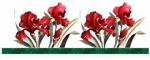 images (2)
