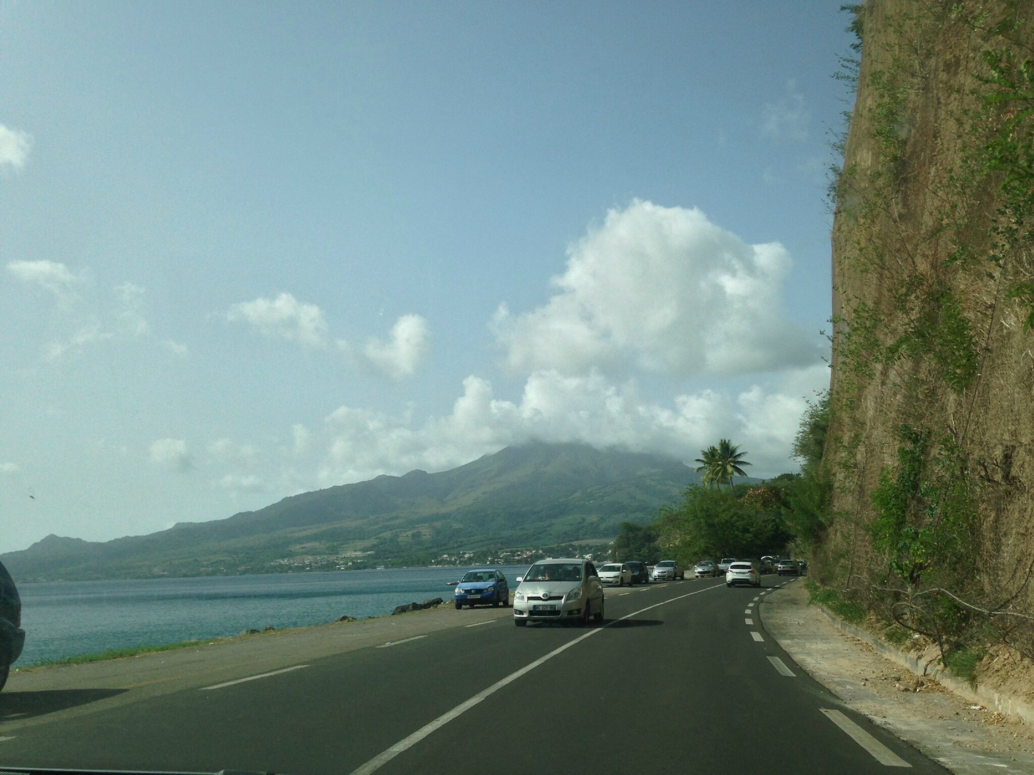 Tous Au Zoo Martinique Lîle Aux Revenants