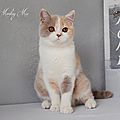 _DSC0378