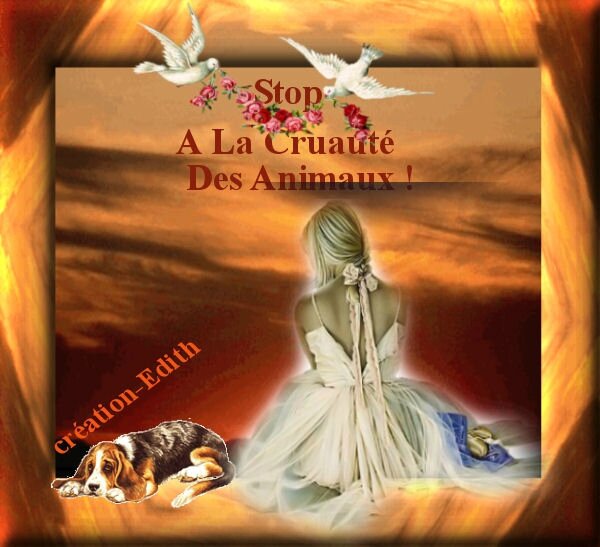 creationedith1