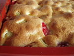 fraises_rhubarbe__32_