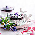 Mousse de fromage blanc aux myrtilles