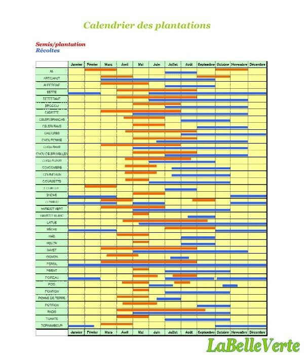 Calendrier des plantations et des récoltes - La Belle Verte