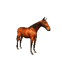 chevaux-55
