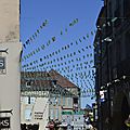 _DSC0342