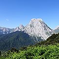 DSC03978