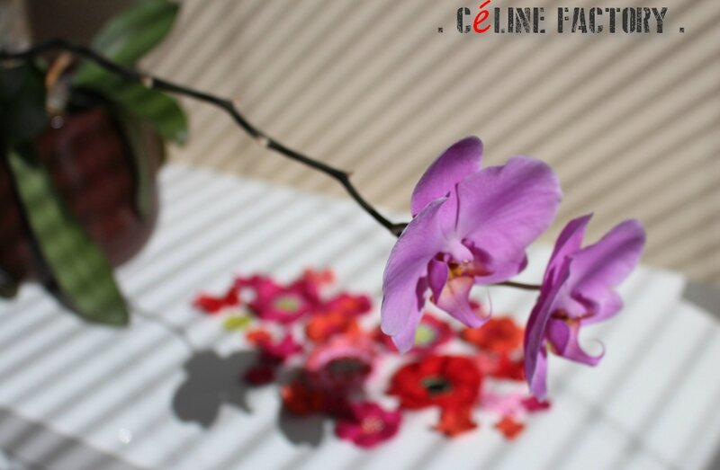 Fleurs chapO 2