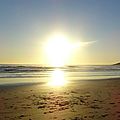DSC09302