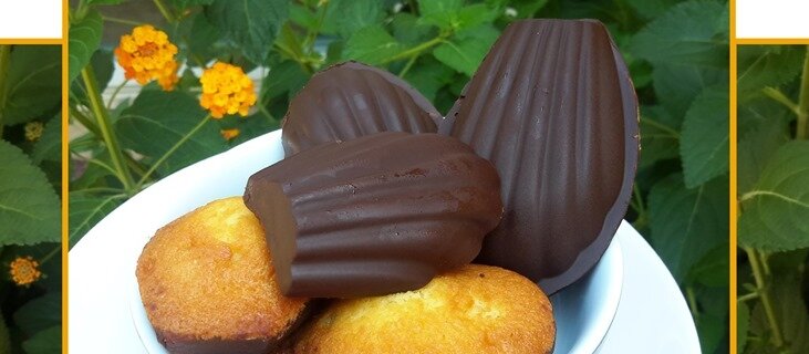madeleines avec ou sans chocolat (Gaston Lenôtre) madeleines avec ou sans chocolat (Gaston Lenôtre)