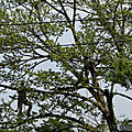 Ἔκφρασις 2(3)