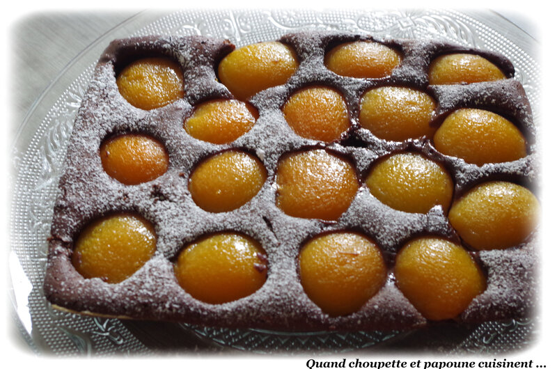 gâteau au chocolat et à l'abricot-0199