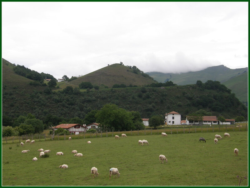 paysage-a-bidaray-2-16ea86ec-94ab-4f0c-b15a-e887b11bd4cd