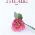 Le poids des secrets, tome 1: tsubaki – aki shimazaki