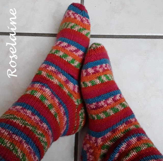 Roselaine cho7 sock yarn venus 3