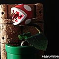 04 Mario plant