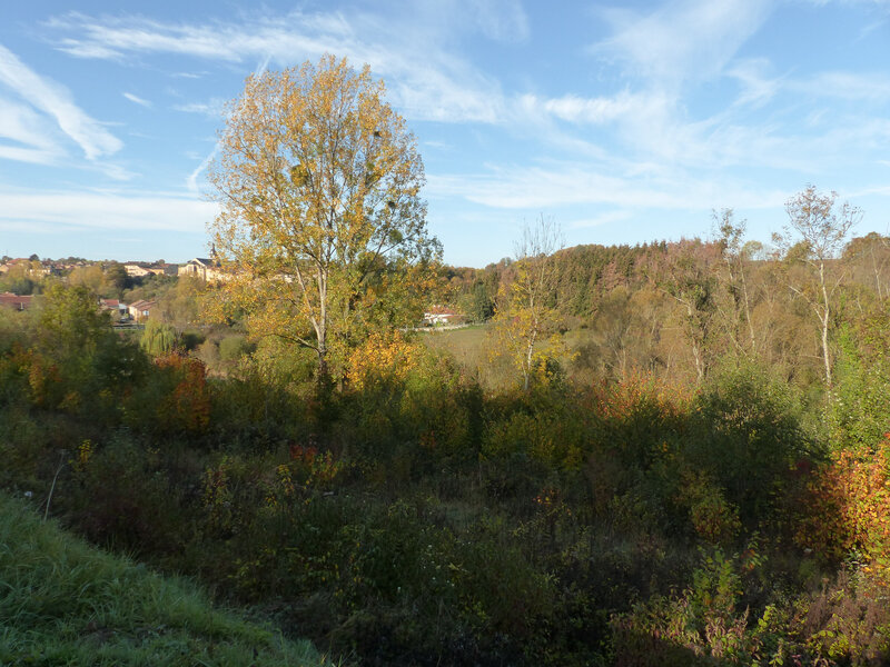 P1300385