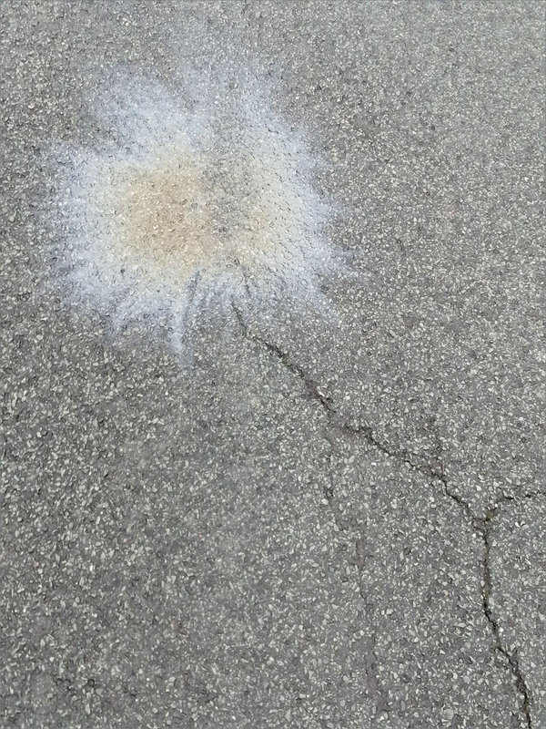 Rue fleur de carburant 0 160222
