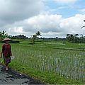 P1040544bis