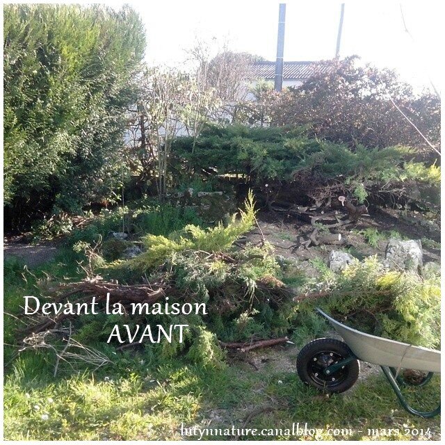 Devant AVANT MARS 2014