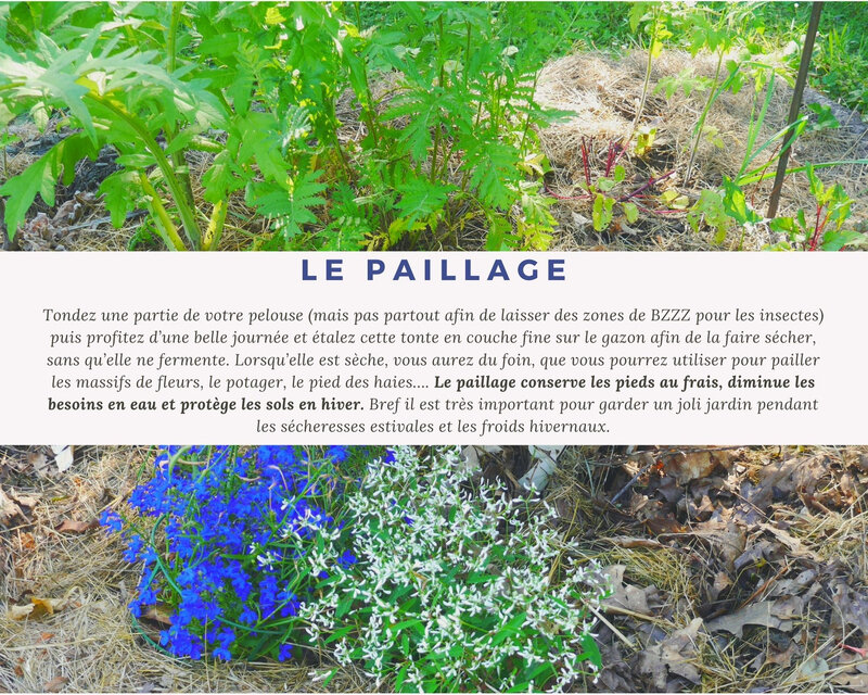 La paillage