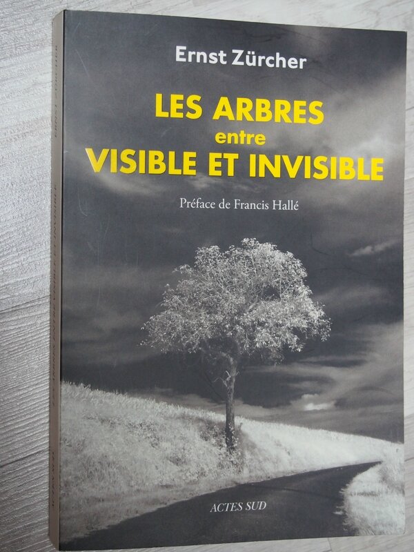 “Les arbres entre visible et invisible”, d’Ernst Zürcher.