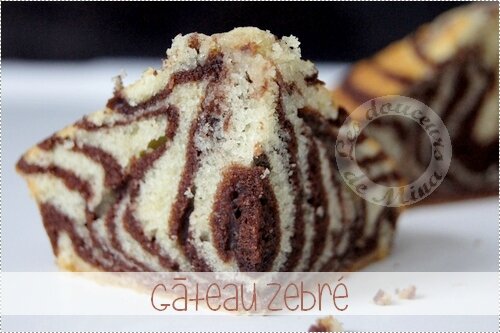 Gâteau_Zebré006