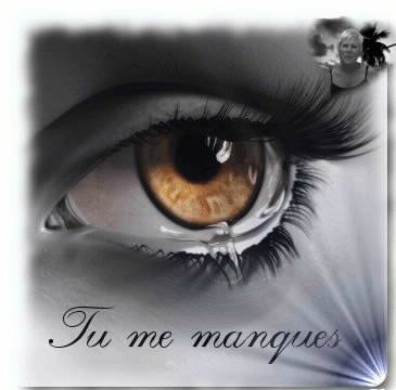 bonjour mon ami tu me manques