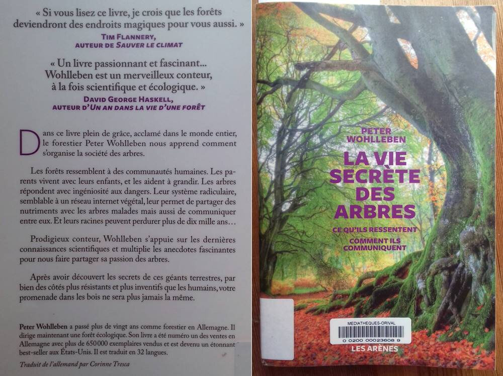 La Vie secrète des arbres - BD, avis, informations, images, albums