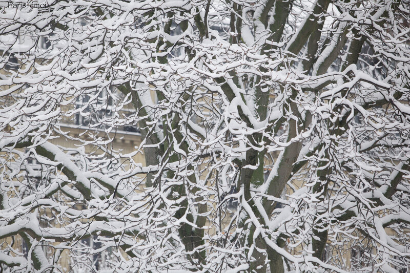 neige epinettes 0923nA