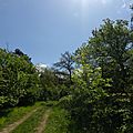 camins (17)