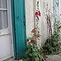 DSC05343