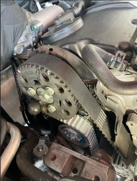 VW distribution avec nouveau modèle