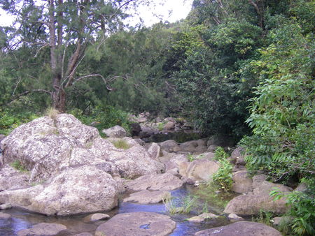 IMGP0875