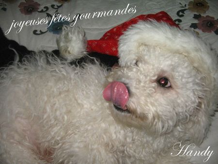 Handy le papou noël 2012 011