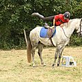 équitation de pleine nature - rallye équestre (107)