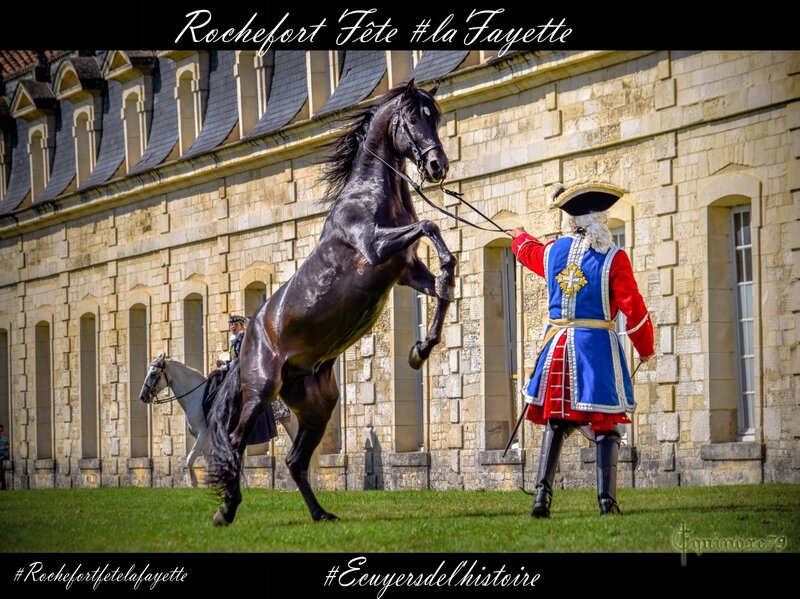 mousquetaire cheval rochefort ecuyer histoire (1)