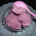 Glace aux myrtilles et citron vert