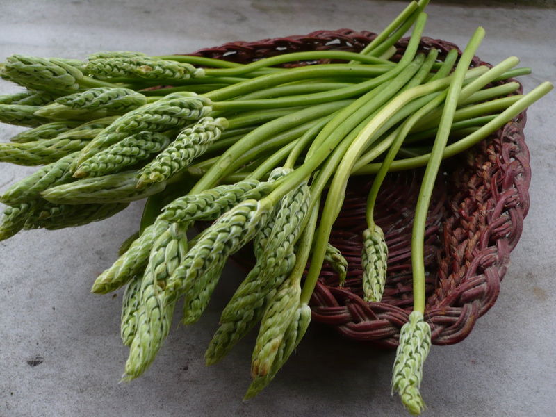 Fricassée d’asperges des bois au jambon de Bayonne Cuisine rebelle Fricassée d’asperges des bois au jambon de Bayonne Cuisine rebelle