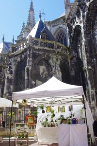 IMGP1512