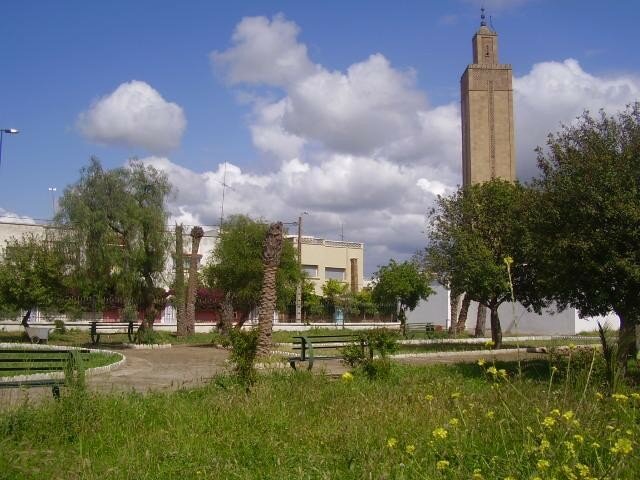 la mosque  hay salam  Photo de mon pays drita