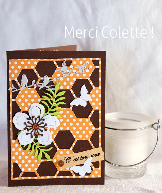 BLOG - COLETTE-001