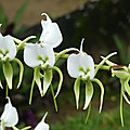 P1250264