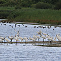 IMG_8923