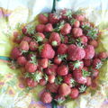 mes fraises