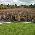 Que reste-t-il de nos bordeaux?... 