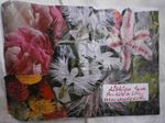 ART POSTAL LES SENS